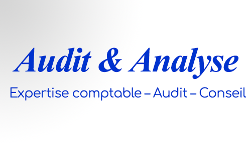 (c) Audit-analyse.com